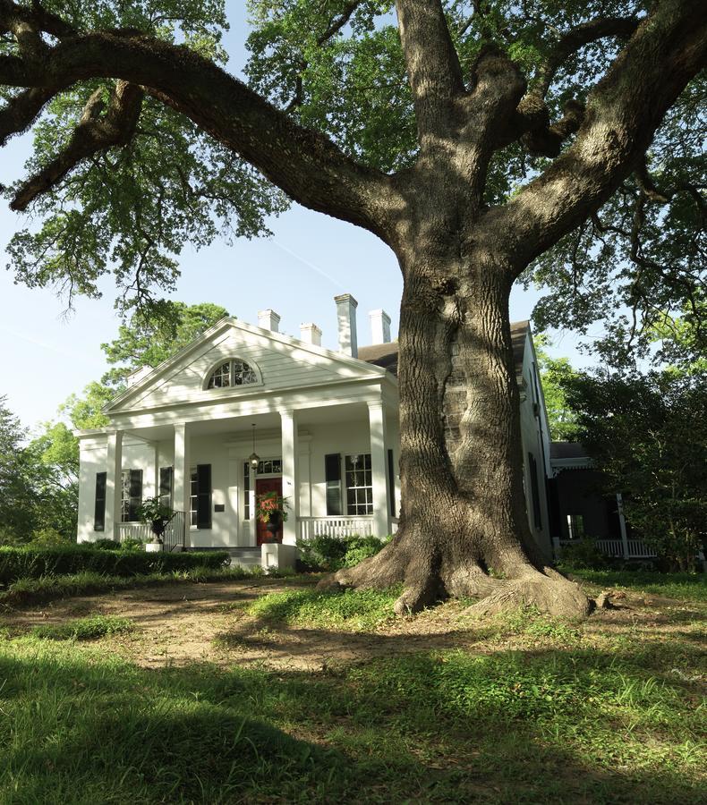 Twin Oaks Inn Natchez Zewnętrze zdjęcie